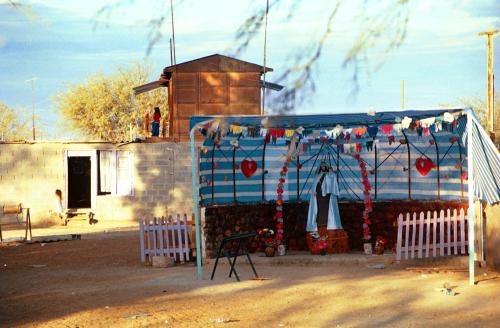 Fotografia de DANNY ALVEAL - Galeria Fotografica: ATIRANADO - Foto: 