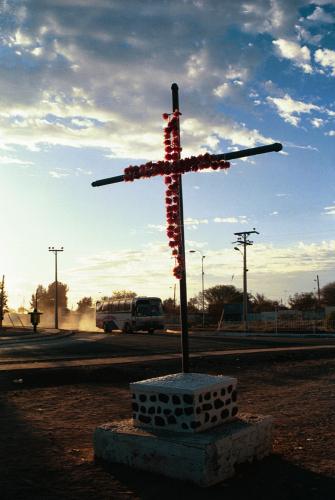 Fotografia de DANNY ALVEAL - Galeria Fotografica: ATIRANADO - Foto: 