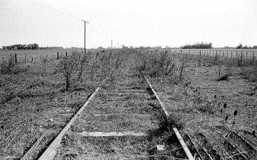 Fotografia de Gonzalo Alegre - Galeria Fotografica: En el camino - Foto: En el camino