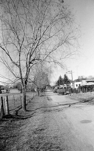 Fotografia de Gonzalo Alegre - Galeria Fotografica: En el camino - Foto: Calle S/N