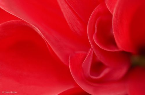 Fotografia de Maria Llorens - Galeria Fotografica: Abstracciones - Foto: 