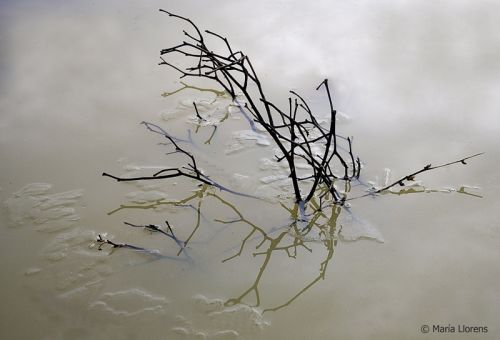 Fotografia de Maria Llorens - Galeria Fotografica: Abstracciones - Foto: 
