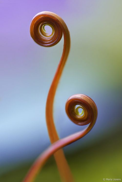 Fotografia de Maria Llorens - Galeria Fotografica: Abstracciones - Foto: 