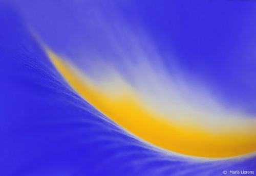 Fotografia de Maria Llorens - Galeria Fotografica: Abstracciones - Foto: 