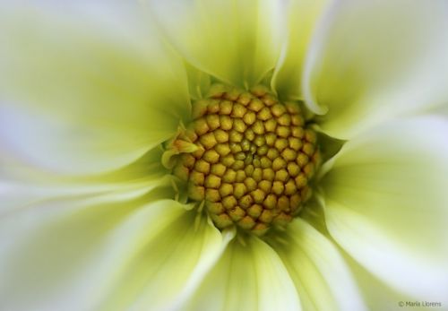 Fotografia de Maria Llorens - Galeria Fotografica: Abstracciones - Foto: 