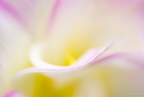 Fotografia de Maria Llorens - Galeria Fotografica: Abstracciones - Foto: 