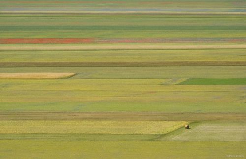 Fotografia de Maria Llorens - Galeria Fotografica: Paisajes - Foto: 