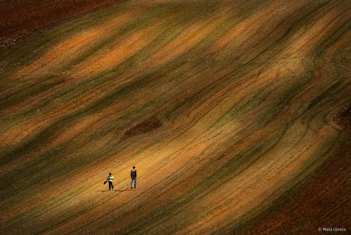 Fotografia de Maria Llorens - Galeria Fotografica: Paisajes - Foto: 