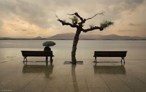 Fotografia de Maria Llorens - Galeria Fotografica: Europa - Foto: 