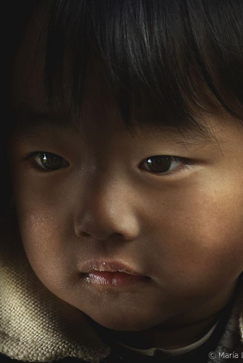 Fotografia de Maria Llorens - Galeria Fotografica: Japon - Foto: 