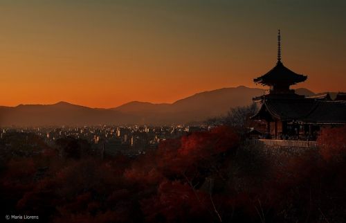 Fotografia de Maria Llorens - Galeria Fotografica: Japon - Foto: 