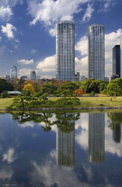 Fotografia de Maria Llorens - Galeria Fotografica: Japon - Foto: 