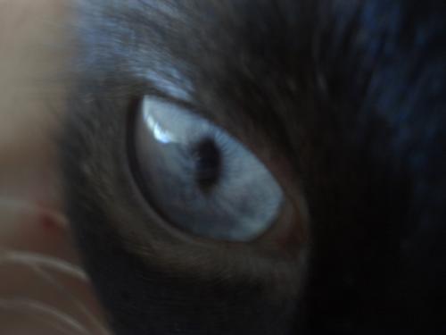 Fotografia de Arnau Selga - Galeria Fotografica: Miscellnia - Foto: 