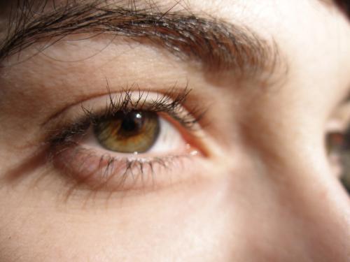 Fotografia de Arnau Selga - Galeria Fotografica: Miscel�l�nia - Foto: 