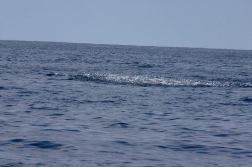 Fotografia de cmyk2004 - Galeria Fotografica: naturaleza - Foto: antxoas