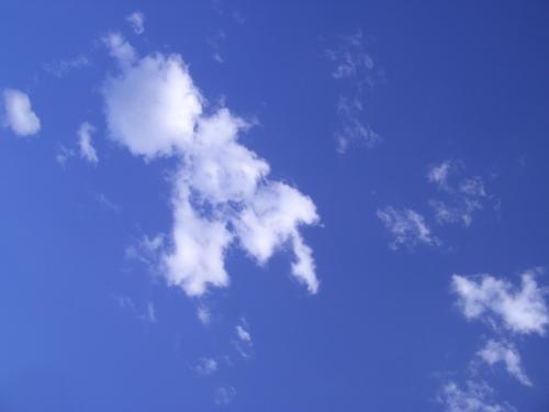 Fotografia de Arnau Selga - Galeria Fotografica: Miscellnia - Foto: Cel