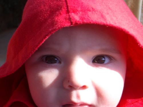 Fotografia de Arnau Selga - Galeria Fotografica: Miscellnia - Foto: 