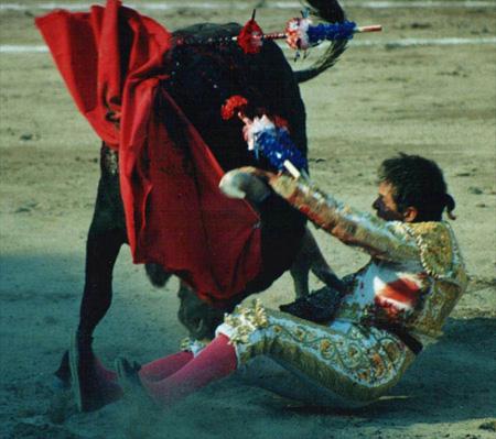 Fotografia de Karina - Galeria Fotografica: Al toro que es una mona - Foto: El drama