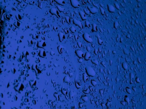 Fotografia de Alejandro - Galeria Fotografica: mi punto de vista - Foto: Gotas en el cristal