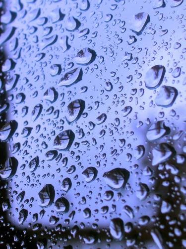 Fotografia de Alejandro - Galeria Fotografica: mi punto de vista - Foto: Blues