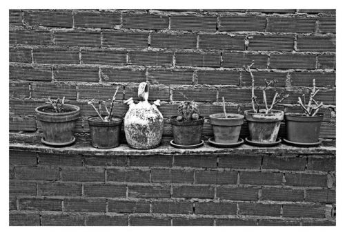 Fotografia de Ivn - Galeria Fotografica: mi trabajo - Foto: intruso