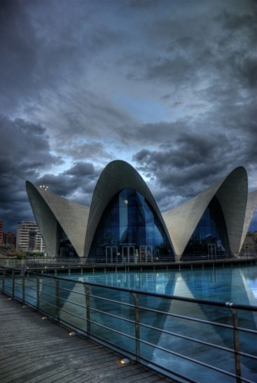 Fotografia de juliogmilat Photography - Galeria Fotografica: Oceanografico - Foto: 