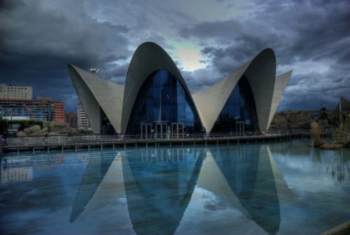 Fotografia de juliogmilat Photography - Galeria Fotografica: Oceanografico - Foto: 