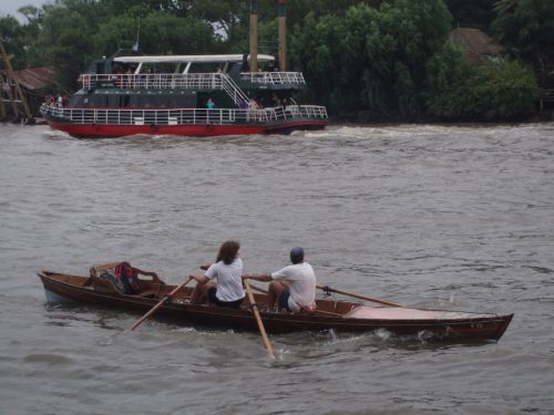Fotografia de alma - Galeria Fotografica: tigre - Foto: 