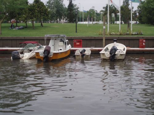 Fotografia de alma - Galeria Fotografica: tigre - Foto: 