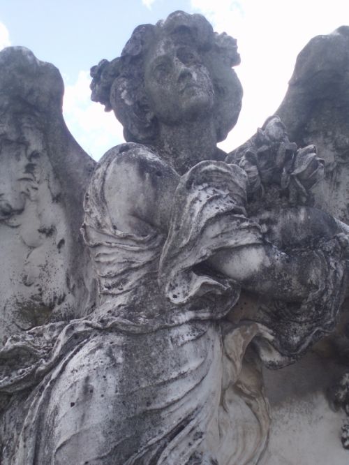 Fotografia de alma - Galeria Fotografica: cementerio de ezpeleta - Foto: 