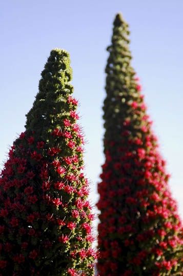 Fotografia de Josu Sein - Galeria Fotografica: Paisajes urbanos y naturales - Foto: 