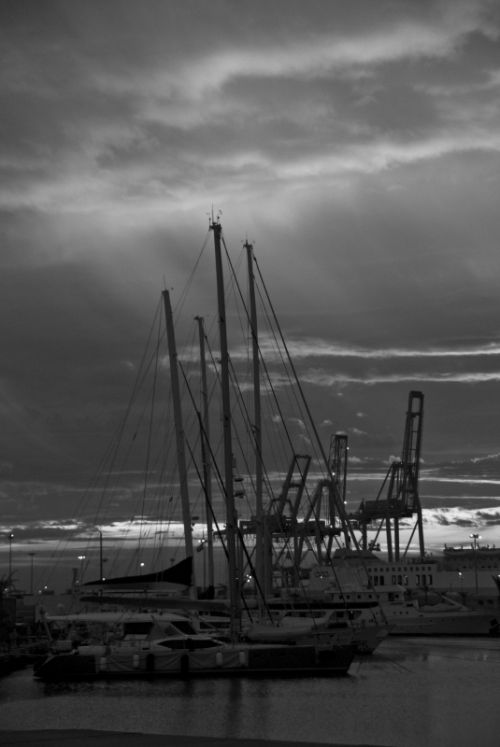 Fotografia de juliogmilat Photography - Galeria Fotografica: Oceanografico - Foto: 