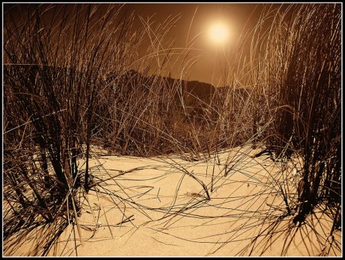 Fotografia de In-na - Galeria Fotografica: Beauty In The World - Foto: Tarifa