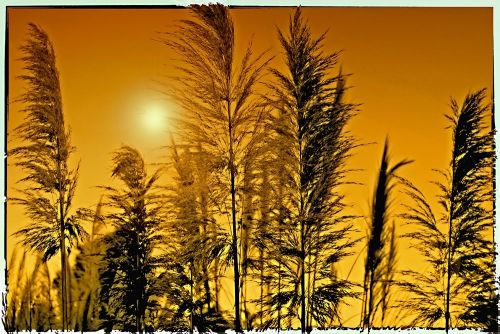 Fotografia de In-na - Galeria Fotografica: Beauty In The World - Foto: Alcanzar el cielo