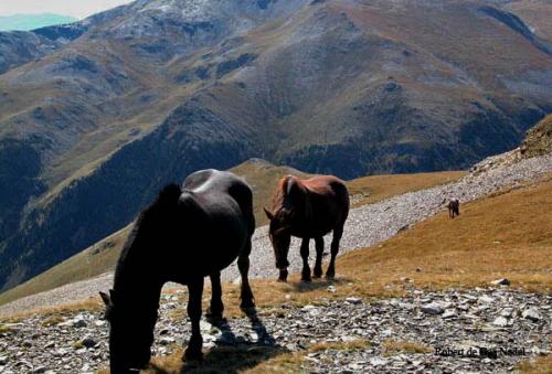 Fotografia de Robert de Gea Nadal - Galeria Fotografica: paisatges i varis - Foto: a nuria