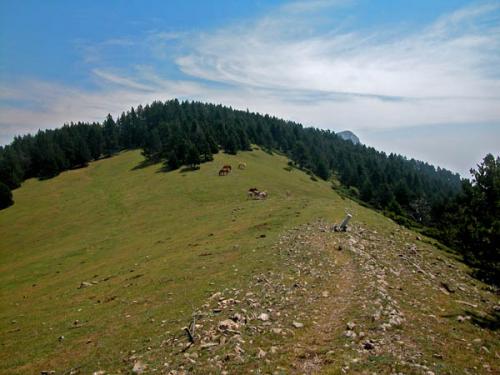 Fotografia de Robert de Gea Nadal - Galeria Fotografica: paisatges i varis - Foto: cresta del moixero