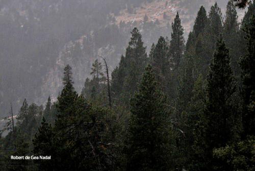 Fotografia de Robert de Gea Nadal - Galeria Fotografica: paisatges 2 - Foto: estany llong