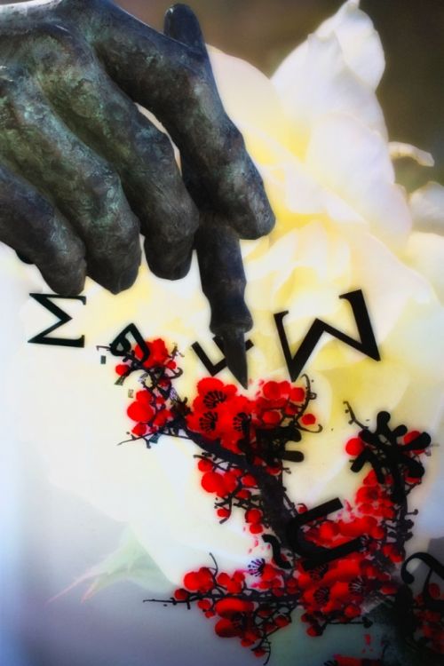 Fotografia de Juanba Morn - Galeria Fotografica: Una potica de la imagen - Foto: 