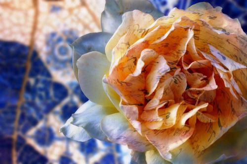 Fotografia de Juanba Mor�n - Galeria Fotografica: Una po�tica de la imagen - Foto: 