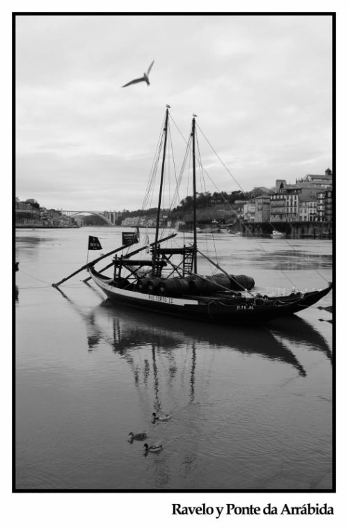 Fotografia de paco otero - Galeria Fotografica: OPORTO - Foto: Ravelo en el rio Douro