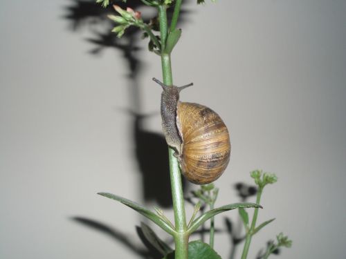 Fotografia de alma - Galeria Fotografica: naturaleza con vida - Foto: 