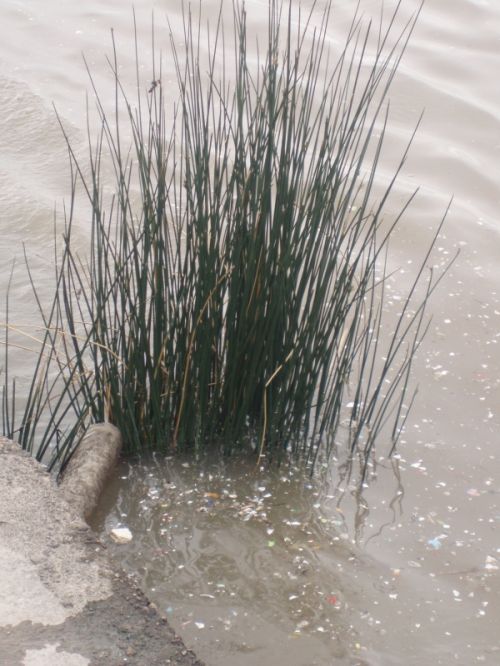 Fotografia de alma - Galeria Fotografica: naturaleza con vida - Foto: 