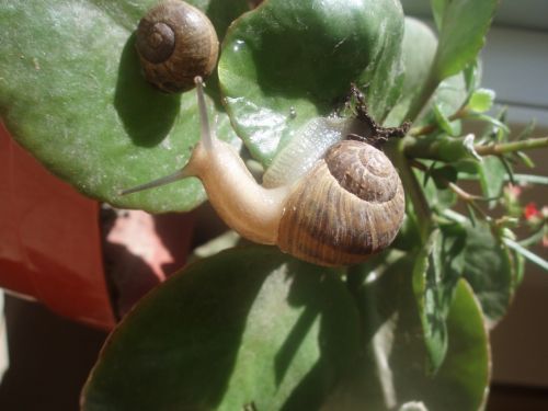 Fotografia de alma - Galeria Fotografica: naturaleza con vida - Foto: 