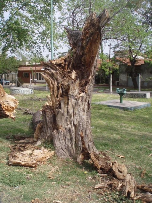 Fotografia de alma - Galeria Fotografica: naturaleza con vida - Foto: 