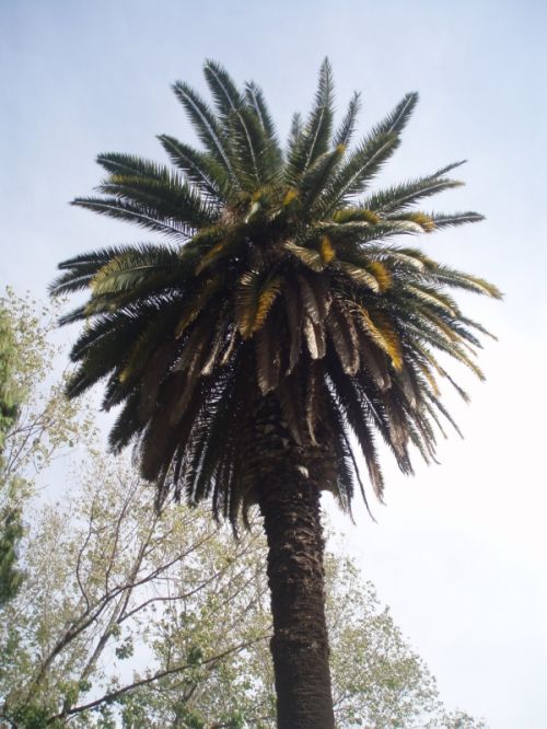 Fotografia de alma - Galeria Fotografica: naturaleza con vida - Foto: 