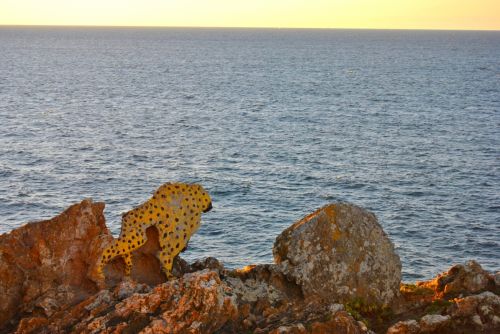 Fotografia de bbrreeoo - Galeria Fotografica: Cabo Home - Foto: 