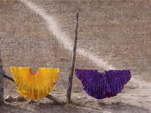 Fotografia de frances - Galeria Fotografica: Batopilas el lugar donde Dios quiere vivir - Foto: faldas al sol