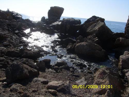 Fotografia de ana - Galeria Fotografica: animales - Foto: 								