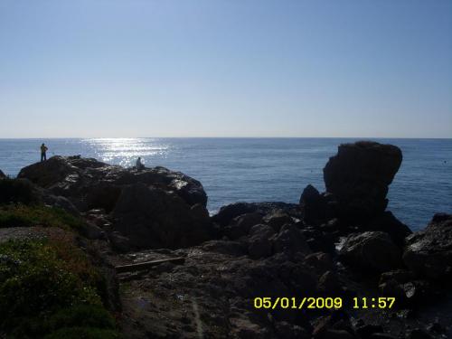 Fotografia de ana - Galeria Fotografica: animales - Foto: 								