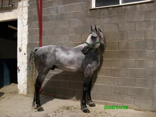 Fotografia de ana - Galeria Fotografica: animales - Foto: 		recien duxao						